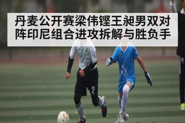 丹麦公开赛梁伟铿王昶男双对阵印尼组合进攻拆解与胜负手 - kaiyun
